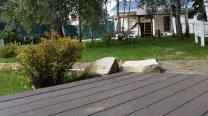 Как правильно ухаживать за старой яблоней на участке (2)