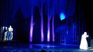 Мюзкл Дубровский Валерия Зеленская.