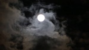 Полная луна в ночном небе