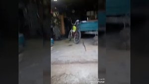 Велосипед с двигателем от триммера.