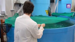??♻️?Ученые из РФ придумали уникальную установку для обеззараживания воды