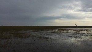 Возвращение Торейских озер? Река Ульдза принесла свои воды в Тореи