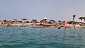 Пляж с Сеткой от Акул Египет Хургада 2023 Отель Pickalbatros Egypt Hurghada Полный Обзор Пляжа