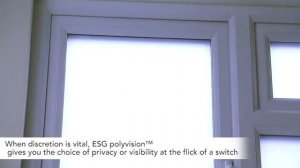 Instant Privacy Glass   ESG Switchable™