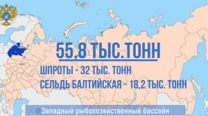 Российские рыбаки выловили почти 3,4 млн тонн рыбы – на 12,1% выше уровня прошлого года