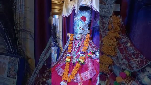 त्रिकालदर्शी माँ बगलामुखी दिव्य दरबार दर्शन | Trikaldarshi Drabar | श्री बगलामुखी धाम सरकार