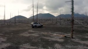 Anton Oparin - "LIFE"