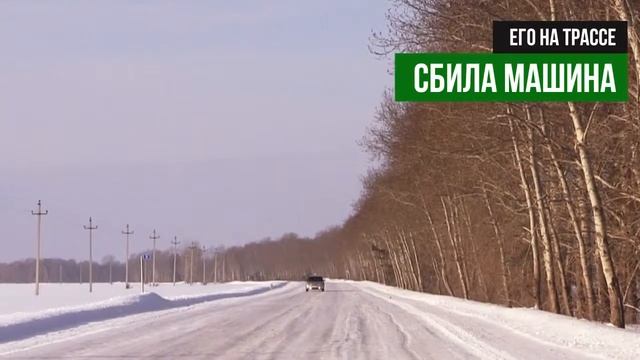 Печальная история. Русский хатико.