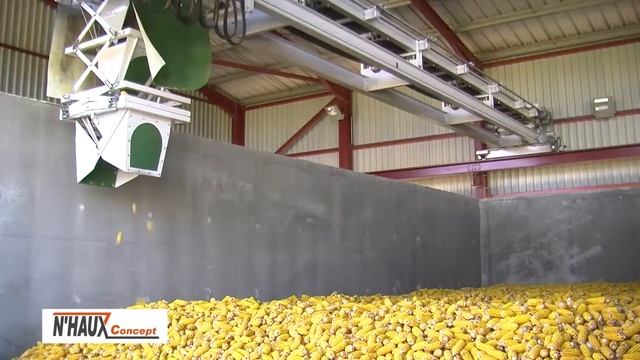 Линия очистки и сушки початков семенной кукурузы смотреть онлайн