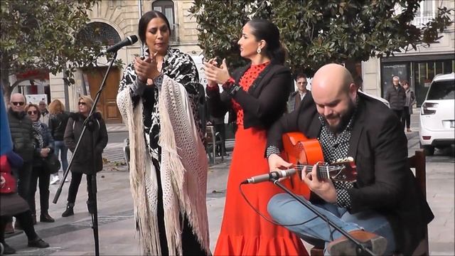 Día del Gitano Andaluz Granada 2022 смотреть онлайн