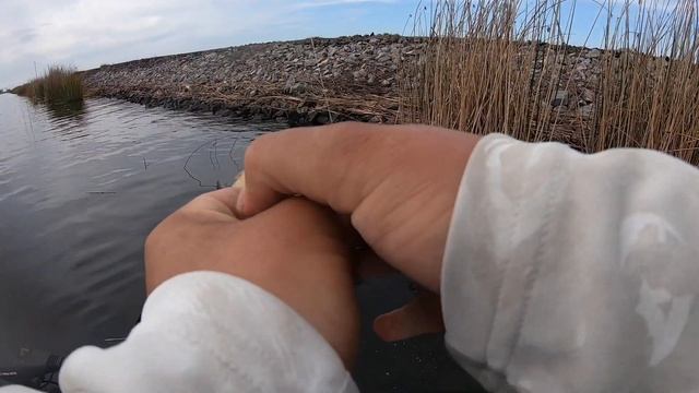 Ca Delta Bass Fishing.(2 TRIPS 1 CLIP FINALLY) смотреть онлайн