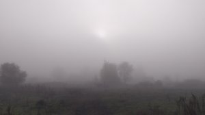 Утренний туман в деревне