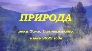 Природа -  река Томь. Салтымаково (июнь 2022).mp4