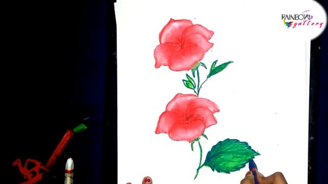 tutorialforeveryonecolour How to draw Hibiscus with pastel colour step by step