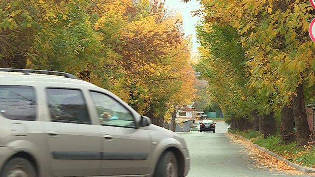 Уфа 2023 улица Ветошникова осень люди жёлтые листья