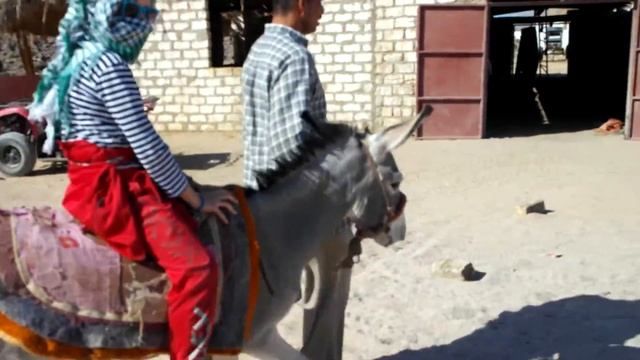 Детские перлы, смешные цитаты детей, смешные истории про детей, высказывания детей, устами младенца