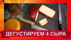 ДЕГУСТАЦИЯ 4 сыра: Тильзитер, Буковинский, Гауда, Французский в кофейном аффинаже. Домашние сыры