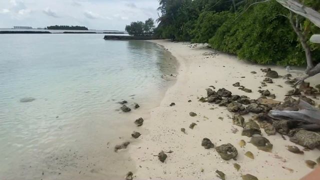 МАЛЬДИВЫ 2020. ОБЗОР ПО ОСТРОВУ BANDOS.КАКОЕ БУНГАЛО ВЫБРАТЬ НА БАНДОСЕ? смотреть онлайн