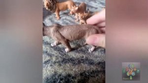 Обзор на мой прайд львов (фигурки львов) #прайд #львы #обзор #обзорнапрайдльвов #фигурки