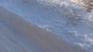 Отвал для снега на фаркоп своими руками