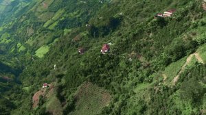 кофе плантация