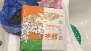 Орхиата и мох для орхидей