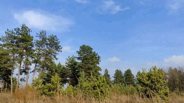Когда нельзя наводить порядок в доме / или квартире /. 7 главных запретов...