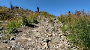 Гора Кокуя. Телецкий горнолыжный курорт