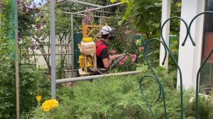 Обработка Сада от паутинного клеща (Масай) и болезней! Состав препаратов в описании.