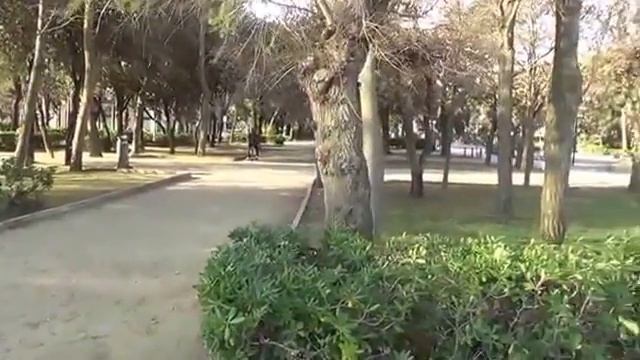 Римини.  Parco Federico Fellini смотреть онлайн