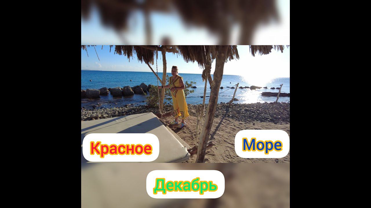 Египет.ВПЕЧАТЛЕНИЯ.Красное море декабрь.отель MERCURE.ЦЕНЫ SENZO MAAL