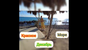 Египет.ВПЕЧАТЛЕНИЯ.Красное море декабрь.отель MERCURE.ЦЕНЫ SENZO MAAL