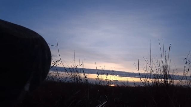 ОХОТА НА СЕВЕРНУЮ УТКУ Https://t.me/ohota_stendovaya_strelba