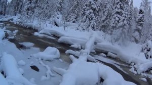 80 дней в тайге. Пушной промысел. Видеодневник. Часть 14