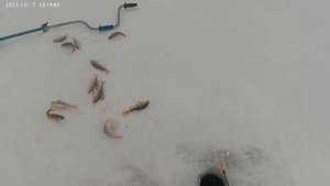 Зимняя рыбалка на Гилевском водохранилище