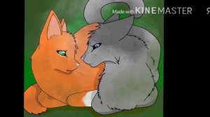 топ самых странных шипов КВ.#warriorscats #котывоители #рекомендации #р_е_к_о_м_е_н_д_а_ц_и_и_