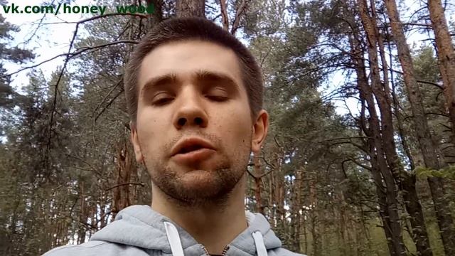 Сувель берёзы смотреть онлайн