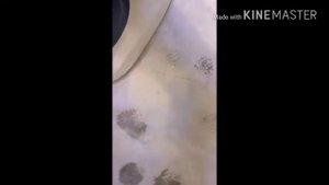 Как удалить пятна от пластилина на 1,2,3