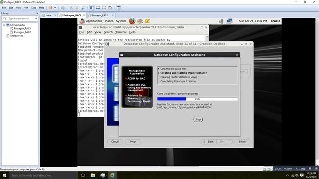 Oracle RAC   Database Creation