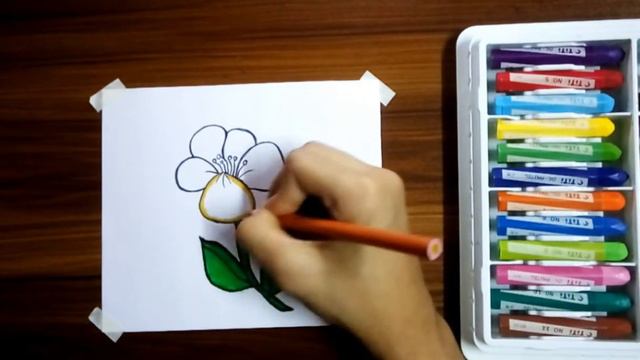Unique Flower Art with oil pastel easy art for the beginners Step by Step