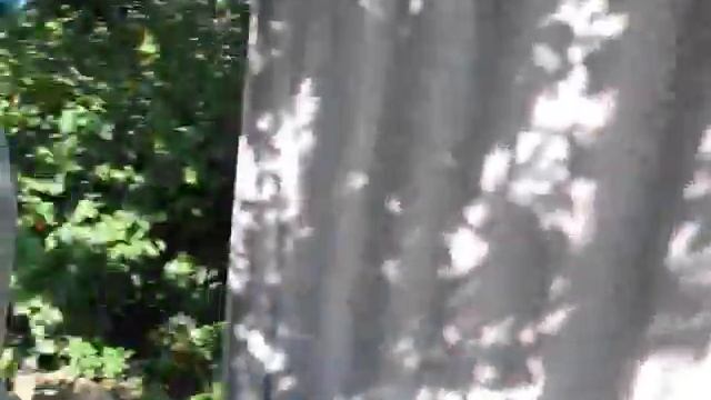 ЛЕТО, ЛЕТО, КРАСНОЕ; СОЛНЕЧНОЕ, ЯСНОЕ!!! смотреть онлайн