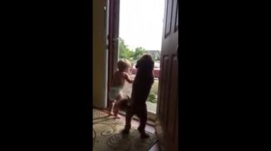 Ребенок и собака встречают папу