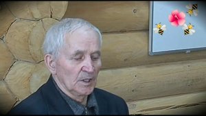 Зрелость мёда. Как определить влажность мёда.