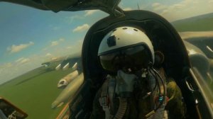 "Грачи" в естественной среде обитания.