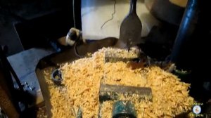 Как делать формы для литья свечей  из воска