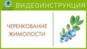 Зеленое черенкование. Сады Урала. Телепередача Земля Уральская. Архив 2011 год