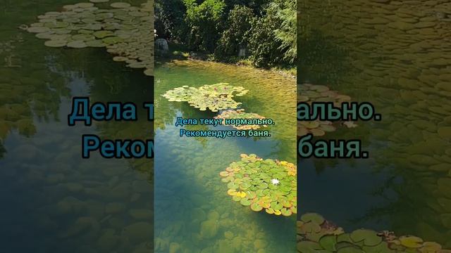 лунный календарь 15.11.23 #лунныйкалендарь #астропрогнознакаждыйдень #астрология #аффирмации