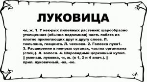 ЛУКОВИЦА - что это такое? значение и описание