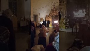 НОЧНАЯ ЛИТУРГИЯ В ГОДЕНОВО. ИСПОВЕДЬ У ОТЦА ИГОРЯ (Мухина)
