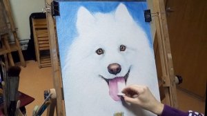 Сухая кисть. Рисуем собаку маслом на бумаге. Как нарисовать собаку. Белая шерсть. Ускоренный Рисуно